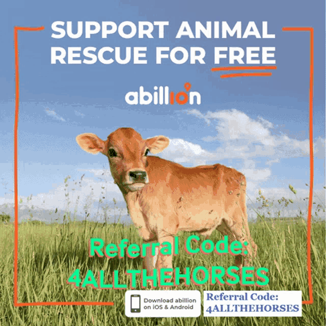 Cow Calv GIF