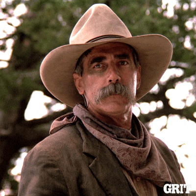 Cowboy Gif GIF