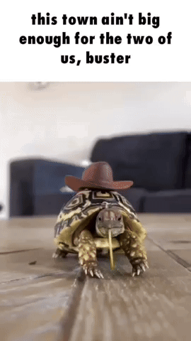 Cowboy Hat GIF