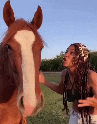Cowgirl Cowboy GIF