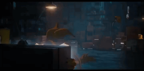Coyotevacme Coyotevsacme GIF