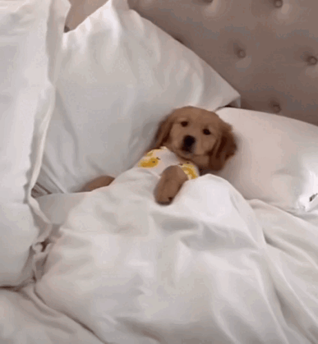 Cozy Warm And Cozy GIF