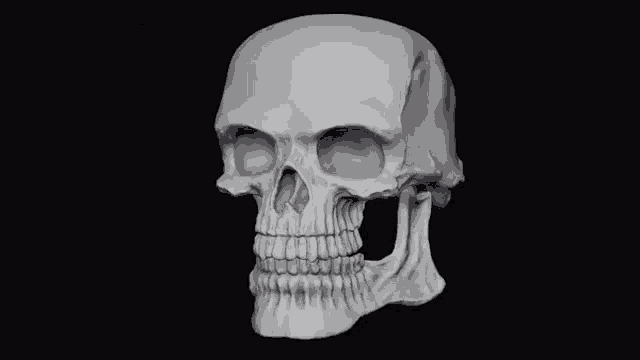 Craniuroacer GIF