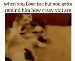 Crazy Bitch GIF