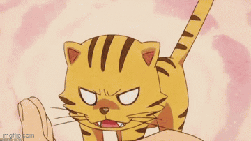 Crazy Cat Tiger GIF