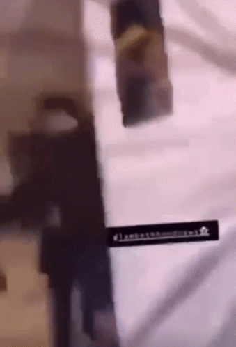 Crazy Fight GIF