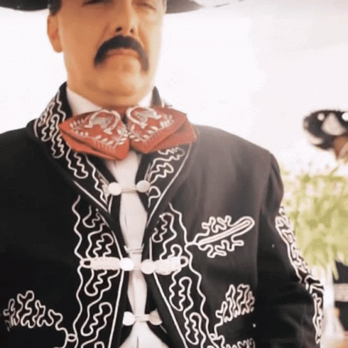 Cristian Castro Viva Mexico GIF