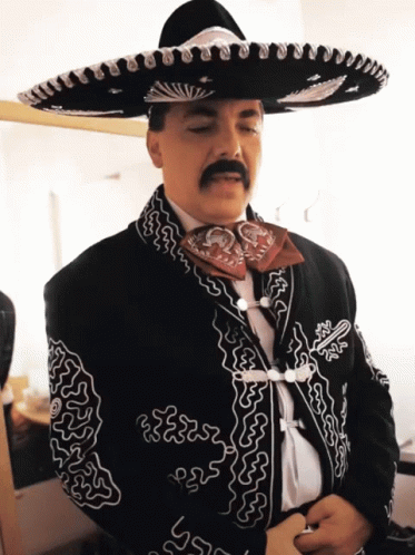 Cristian Castro Viva Mexico GIF