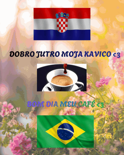Croatia Brasil GIF