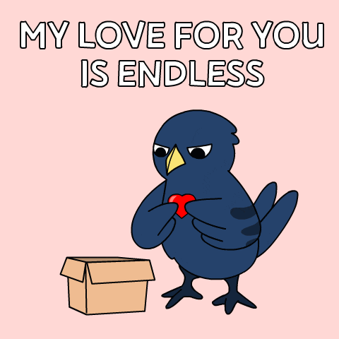Crow Love GIF