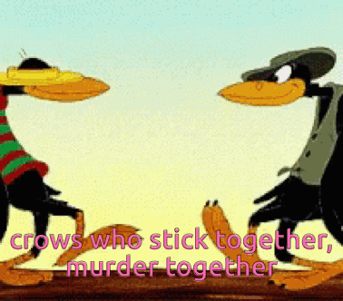 Crow The Roost GIF
