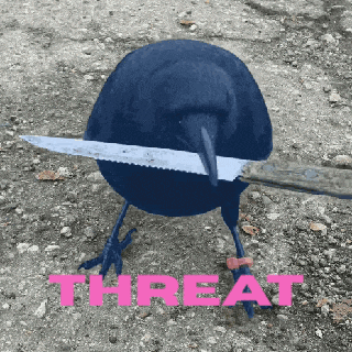 Crows The Roost GIF