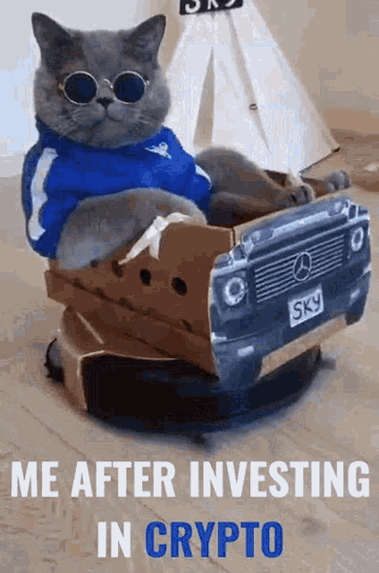 Crypto Cat GIF