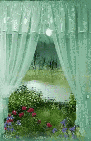 Curtain Flowers GIF
