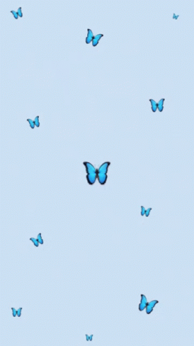 Cute Butterfly GIF