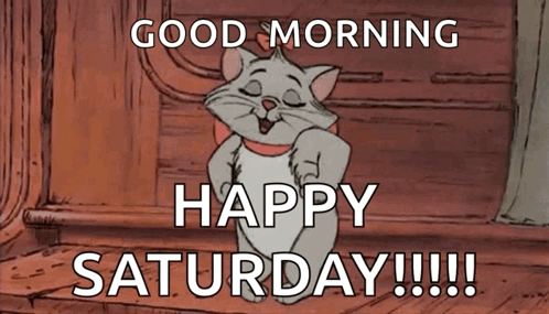 Cute Cat GIF