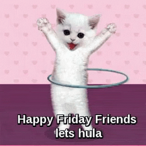 Cute Cat GIF