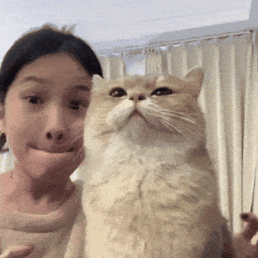 Cute Cuteness Overload GIF