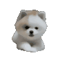 Cute Dog Sticker Sticker