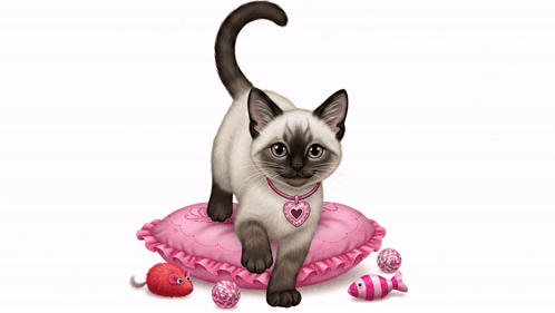 Cute Kitten GIF