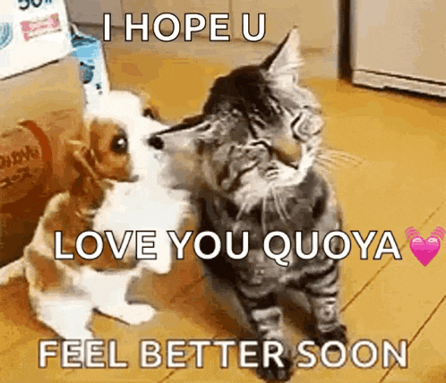 Cute Puppy GIF