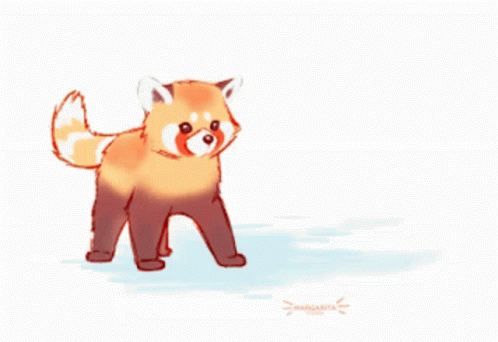 Cute Red Panda GIF