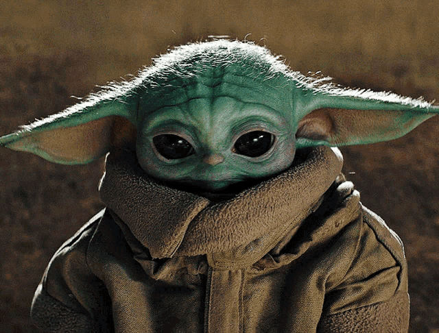 Cute The GIF