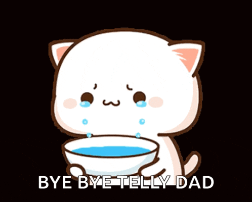 Cutecat Crying GIF