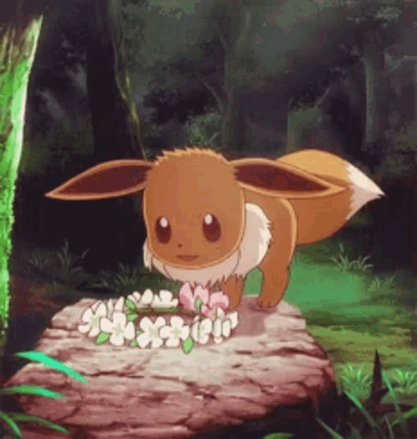 Cutie GIF