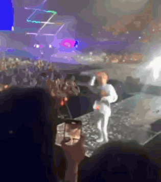 D9luxe Tomato GIF