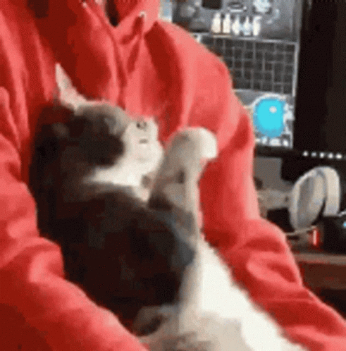 Dafuq Wtf GIF