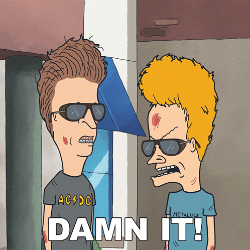 Damn It Beavis GIF