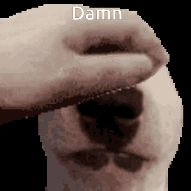 Damn GIF