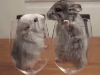 Damn GIF