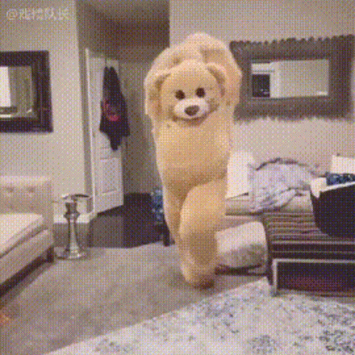 Dance Bear GIF