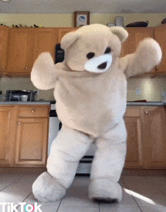 Dance Dancing Bear GIF