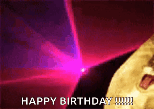 Dancing Cats GIF