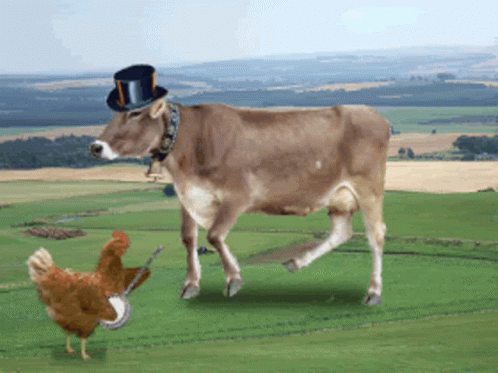 Dancing Cow GIF