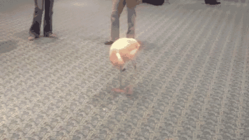 Dancing Flamingo GIF
