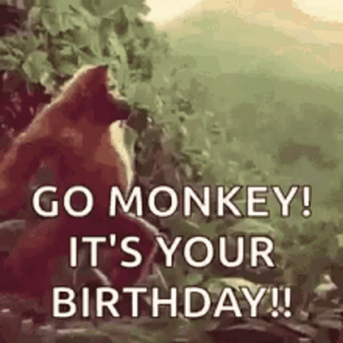 Dancing Monkey GIF
