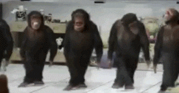 Dancing Monkeys GIF