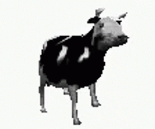 Dancing Polish GIF