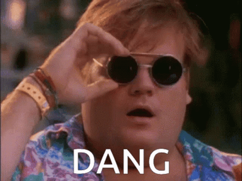 Dang Shades Up GIF