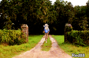 Dapes Apefathers GIF