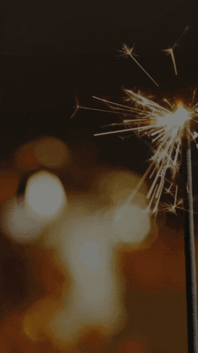 Ddp Pandya GIF