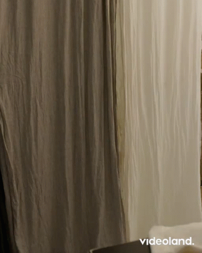 De Bachelor Bachelor Thomas GIF