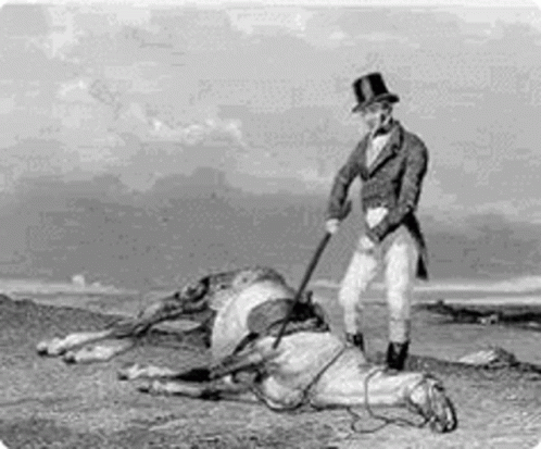 Dead Horse Spank GIF