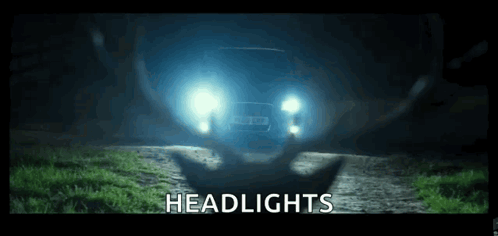 Deer Car GIF