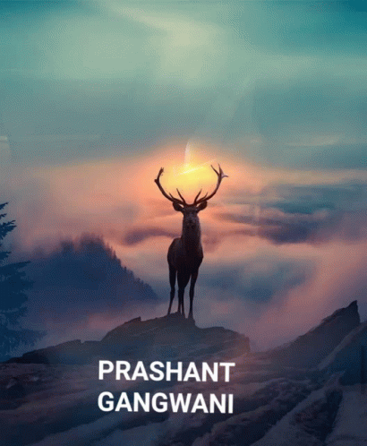 Deer Sunrise GIF