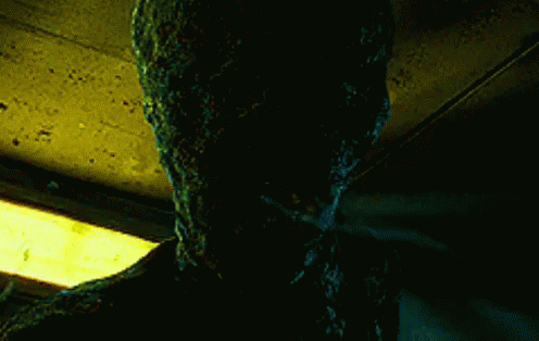 Dementors Kiss Harry Potter GIF